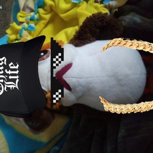 Meet your Posher, Evelyn